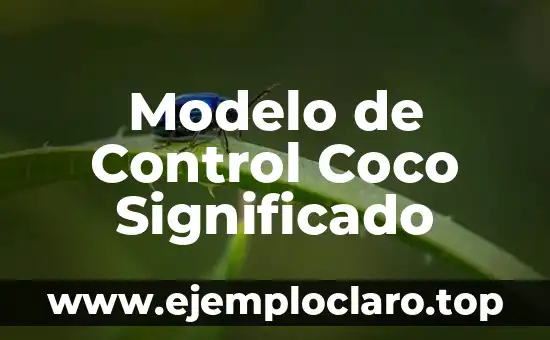 Modelo de Control Coco Significado