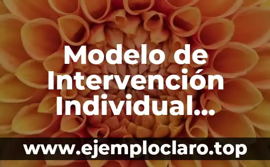Modelo de Intervención Individual Significado