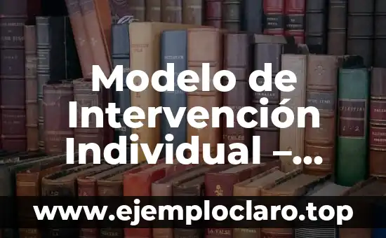 Modelo de Intervención Individual – Significado y Aplicaciones