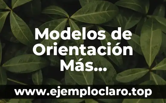 Modelos de Orientación Más Significativos