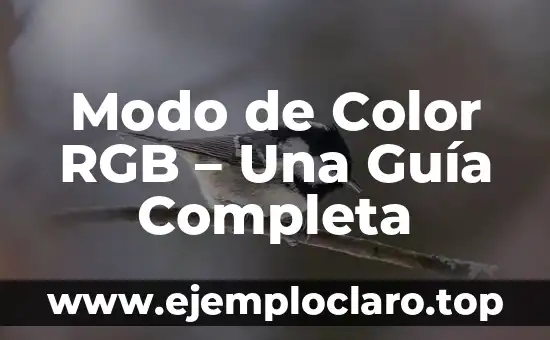 Modo de Color RGB - Una Guía Completa