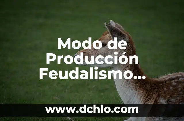 Significado del Modo de Lavado 7 Modo de Producción Feudalismo Significado