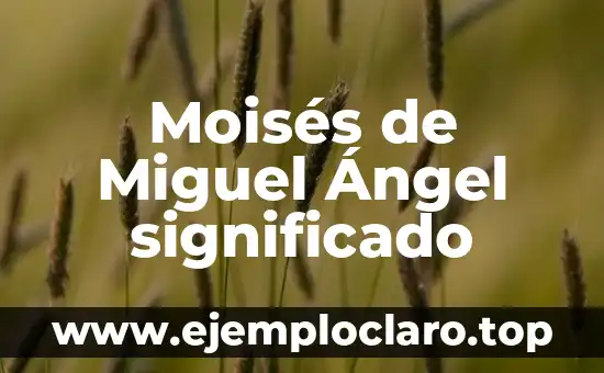Moisés de Miguel Ángel significado