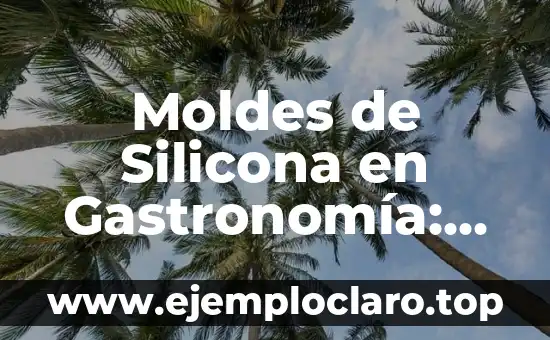 Moldes de Silicona en Gastronomía: Innovación en la Cocina