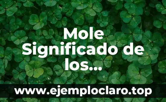 Mole Significado de los Ingredientes
