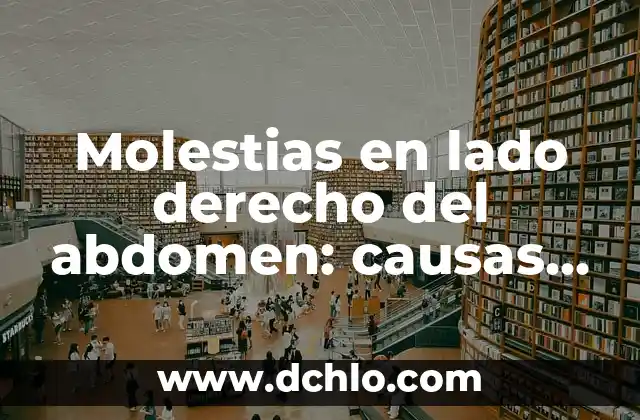 Mi Perro Se Rasca Mucho y No Tiene Nada: Causas y Soluciones 3 Molestias en lado derecho del abdomen: causas y síntomas