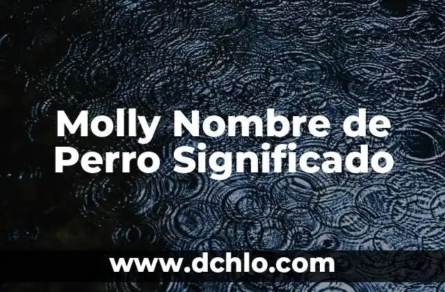 Nabucodonosor, un nombre que resuena en la historia bíblica 7 Molly Nombre de Perro Significado