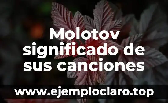 Molotov significado de sus canciones