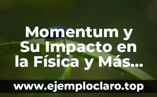 Momentum y Su Impacto en la Física y Más Allá