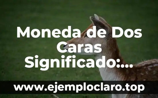Moneda de Dos Caras Significado: Descubre su Profundo Simbolismo