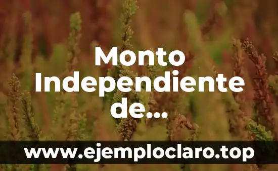 Tatuajes de búhos para mujeres: Descubre su significado y simbolismo 5 Monto Independiente de Recuperación Significado: Una Guía Completa