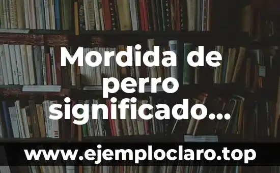 Mordida de perro significado sueño