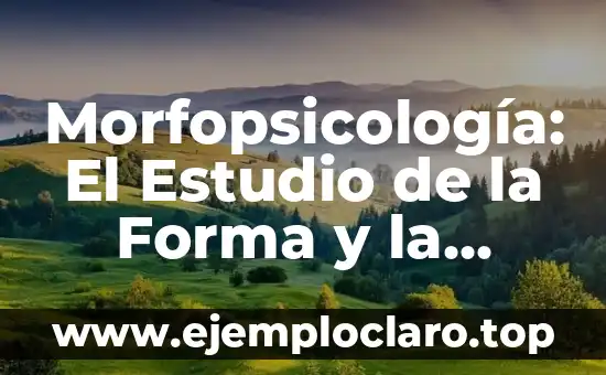 Morfopsicología: El Estudio de la Forma y la Mente