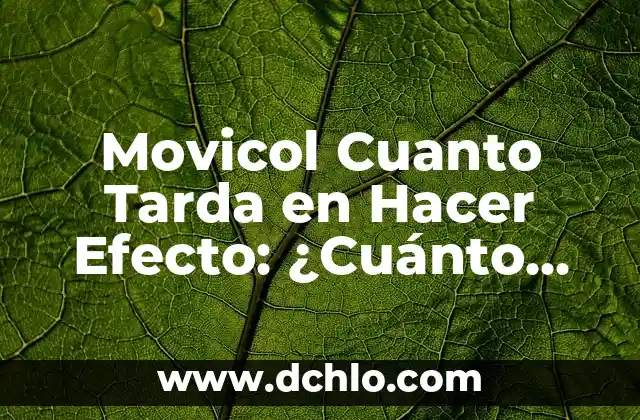 Cuánto tarda en descongelarse la carne: Guía completa 3 Movicol Cuanto Tarda en Hacer Efecto: ¿Cuánto Tiempo Necesita para Funcionar?