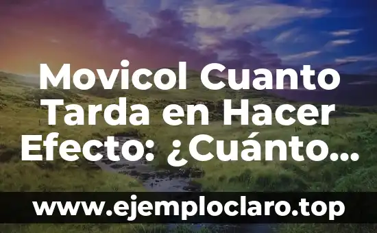 Movicol Cuanto Tarda en Hacer Efecto: ¿Cuánto Tiempo Necesita para Funcionar?