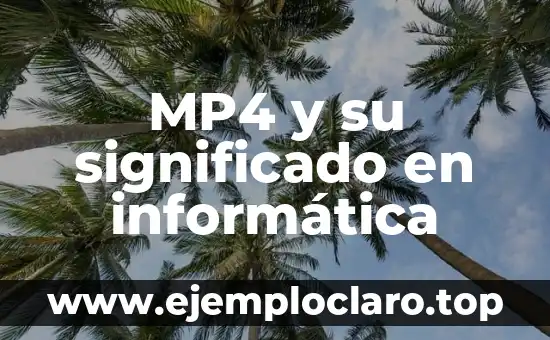 Nombre de Dominio Significado en Informática 8 MP4 y su significado en informática