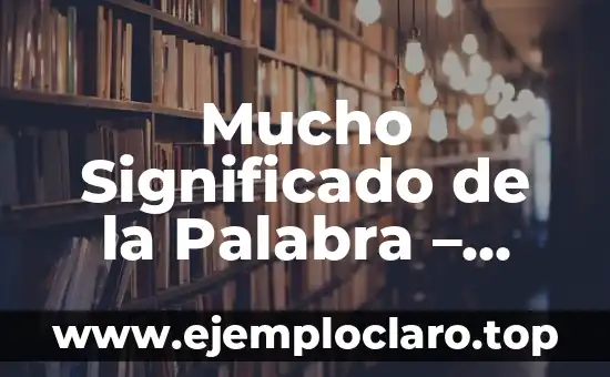 Mucho Significado de la Palabra – Explorando la Riqueza del Lenguaje