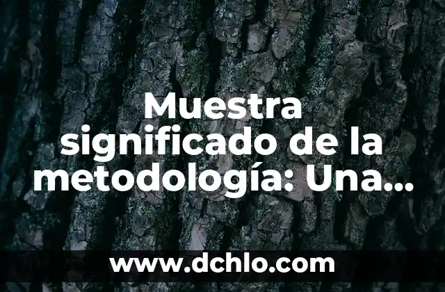 Mudra de la Sabiduría Significado - Guía Completa 6 Muestra significado de la metodología: Una guía detallada