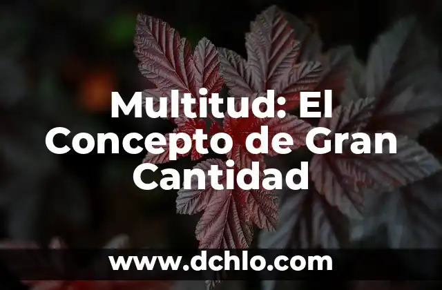 Multitud: El significado detrás de una gran cantidad de personas 8 Multitud: El Concepto de Gran Cantidad