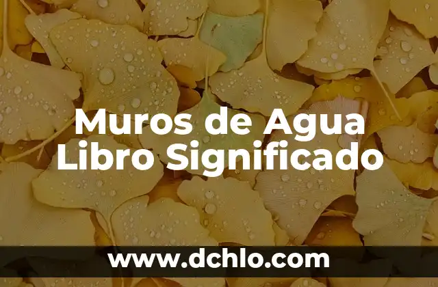 Significado del Libro de Aclas 4 Muros de Agua Libro Significado