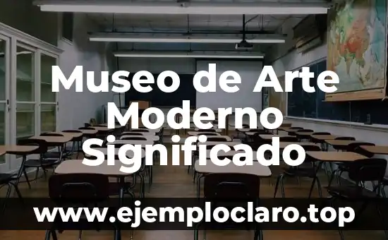 Museo de Arte Moderno Significado