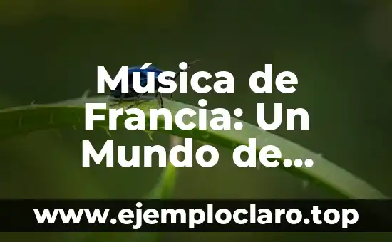 La Primera Etapa del Tour de Francia: Todo lo que Necesitas Saber 6 Música de Francia: Un Mundo de Sonidos y Emociones