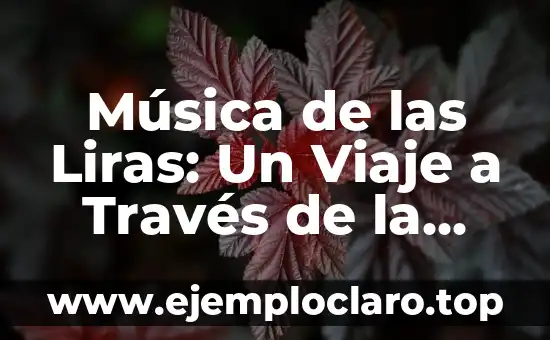 Música de las Liras: Un Viaje a Través de la Música y la Poesía