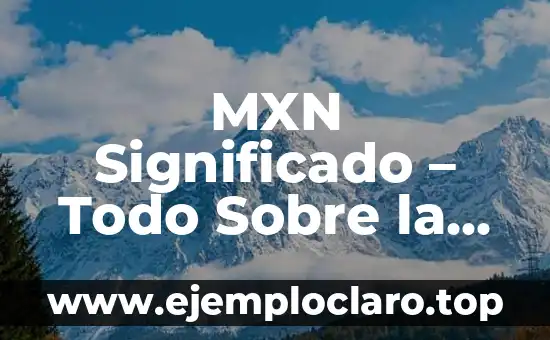 Bolsa Mexicana de Valores 4 MXN Significado – Todo Sobre la Moneda Mexicana