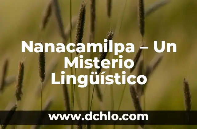 El Misterio de los Objetos Voladores No Identificados 8 Nanacamilpa – Un Misterio Lingüístico