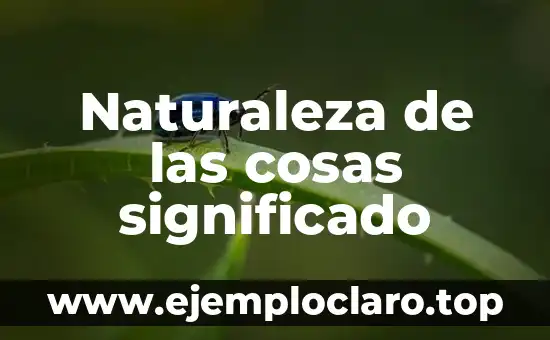 Naturaleza de las cosas significado
