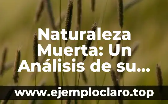 Naturaleza Muerta: Un Análisis de su Significado en el Arte