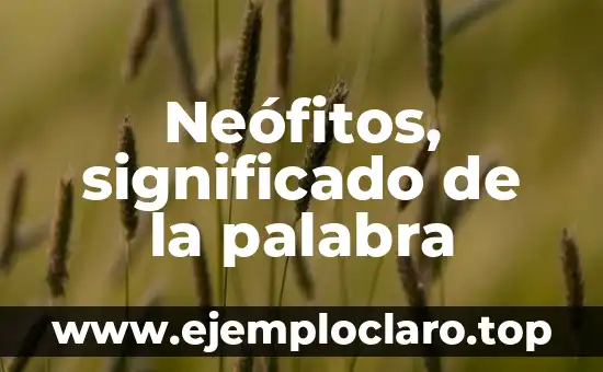 Neófitos, significado de la palabra