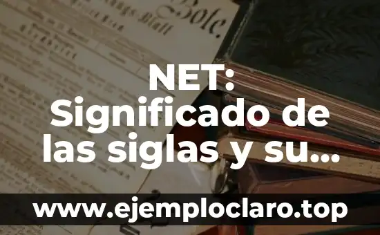 NET: Significado de las siglas y su relevancia en la actualidad