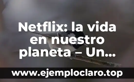 Netflix: la vida en nuestro planeta – Un viaje por la naturaleza y la conservación