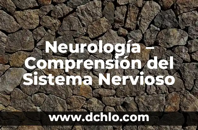 Cuánto Cuesta un Sistema Operativo Windows 11: Precio y Opciones de Licencia 3 Neurología – Comprensión del Sistema Nervioso