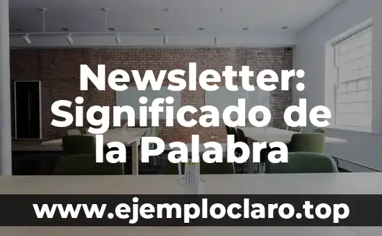 Newsletter: Significado de la Palabra