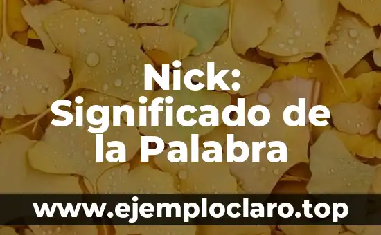 Nick: Significado de la Palabra