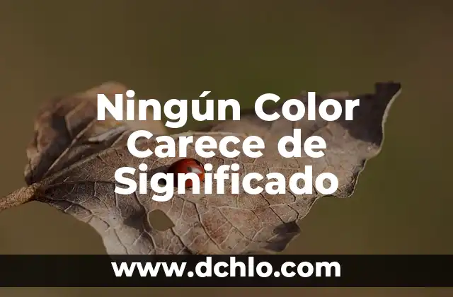 Signos de Yoga y su Significado: Un Viaje al Equilibrio Interior 8 Ningún Color Carece de Significado