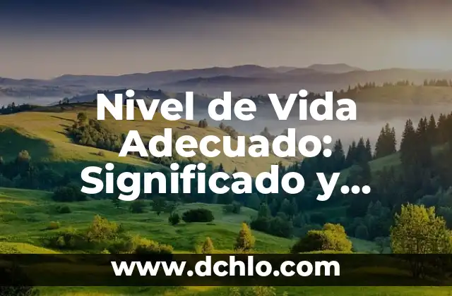 Normas de Información Financiera: Conceptos y Aplicaciones 4 Nivel de Vida Adecuado: Significado y Conceptos Básicos