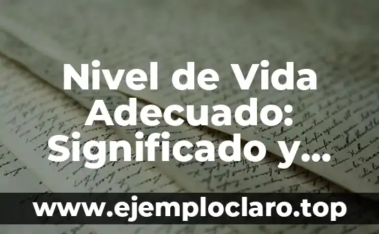 Nivel de Vida Adecuado: Significado y Conceptos Básicos