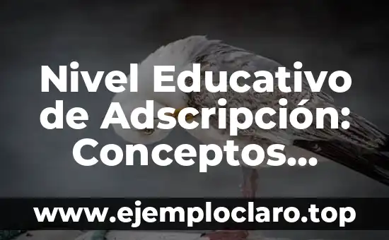 Nivel Educativo de Adscripción: Conceptos Básicos