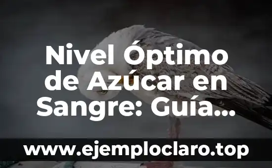 Nivel Óptimo de Azúcar en Sangre: Guía Completa para una Salud Ideal
