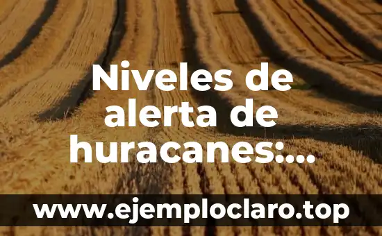 Niveles de alerta de huracanes: Guía completa sobre su significado