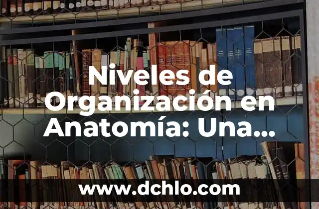 Las 50 Mejores Películas de la Historia del Cine: Una Guía Definitiva 3 Niveles de Organización en Anatomía: Una Guía Completa