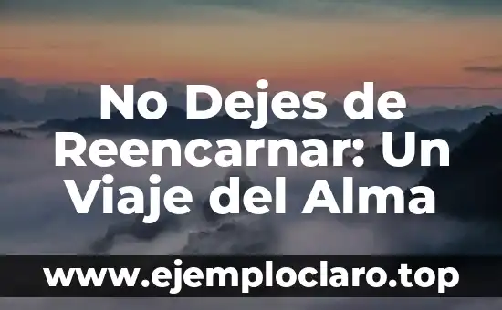 No Dejes de Reencarnar: Un Viaje del Alma