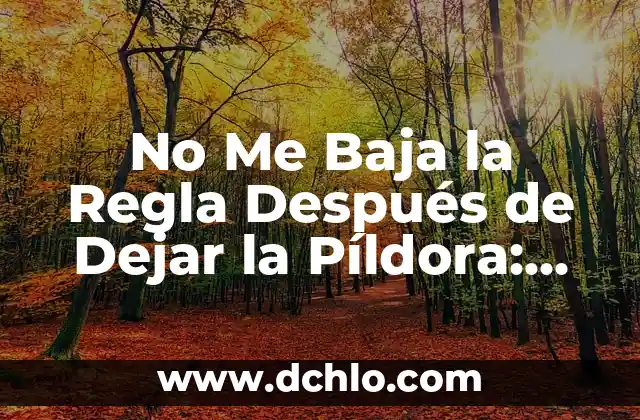 ¿Qué es Escuchar un Zumbido en el Oído? - Causas, Síntomas y Tratamientos 3 No Me Baja la Regla Después de Dejar la Píldora: Causas y Soluciones