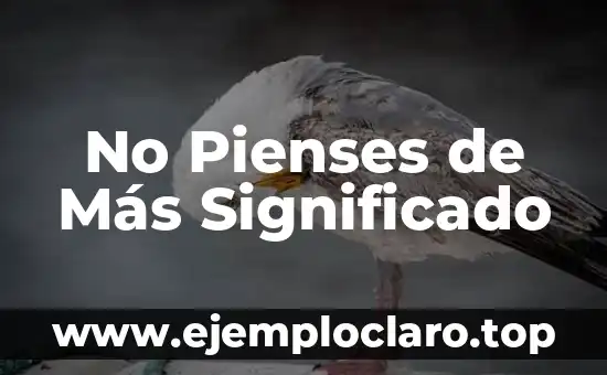 Nombre de Hormonas y su Significado 4 No Pienses de Más Significado