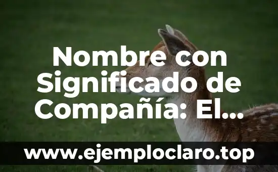 Nombre con Significado de Compañía: El Poder de la Compañía en las Palabras