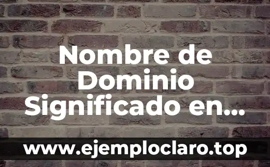 Nombre de Dominio Significado en Informática