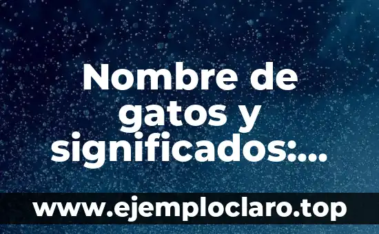 Nombre de gatos y significados: Guía completa